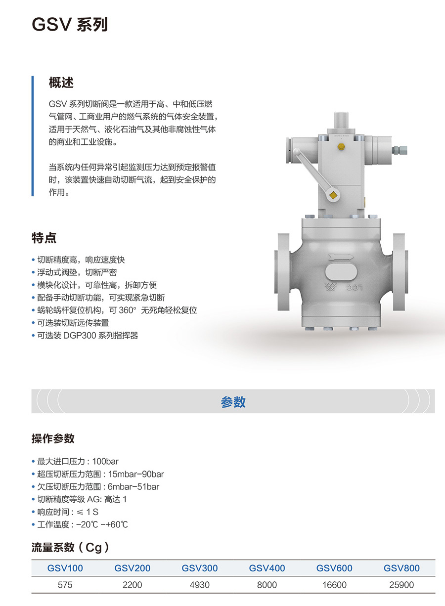 8GSV-series-Brochure-CN-2.jpg